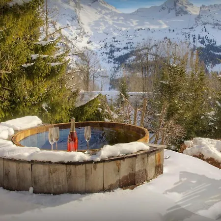 Fernuy - Ovo Network Chalet